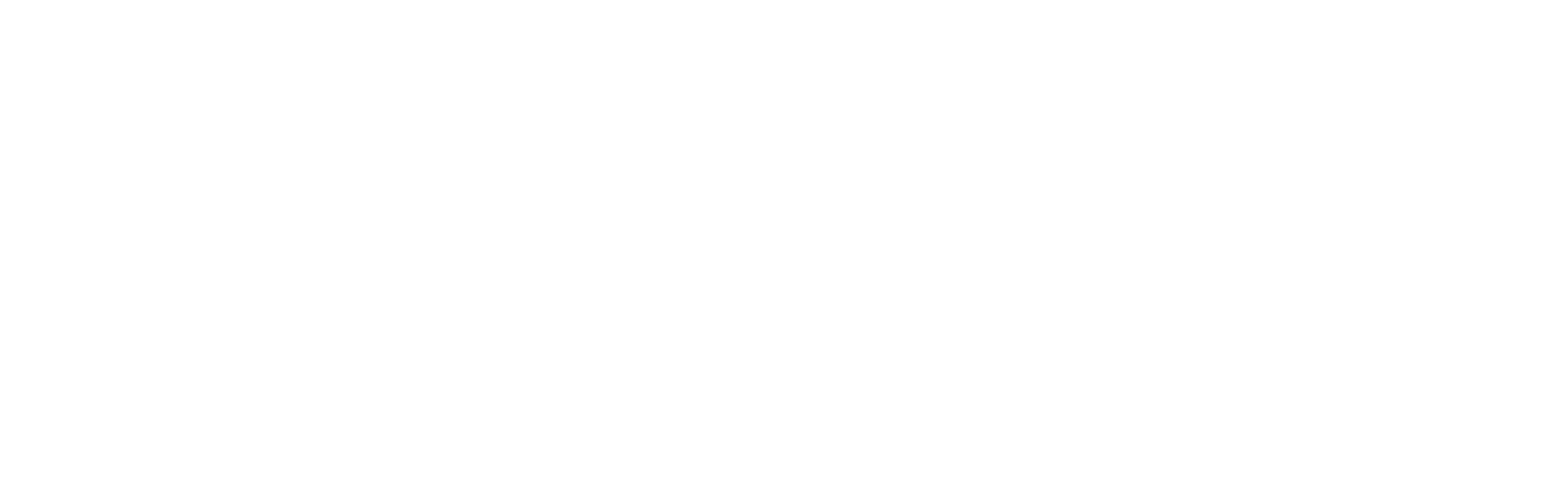 Siana Technologies Logo